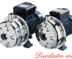 ebara_cdx_pump.jpg Series CDX & 2CDX